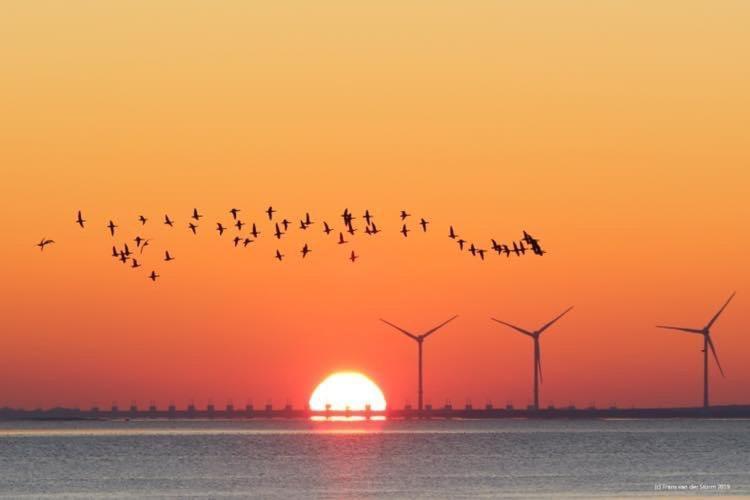 Heerenkeet 4 Pers Appartement Aan De Oosterschelde Kerkwerve Exteriér fotografie